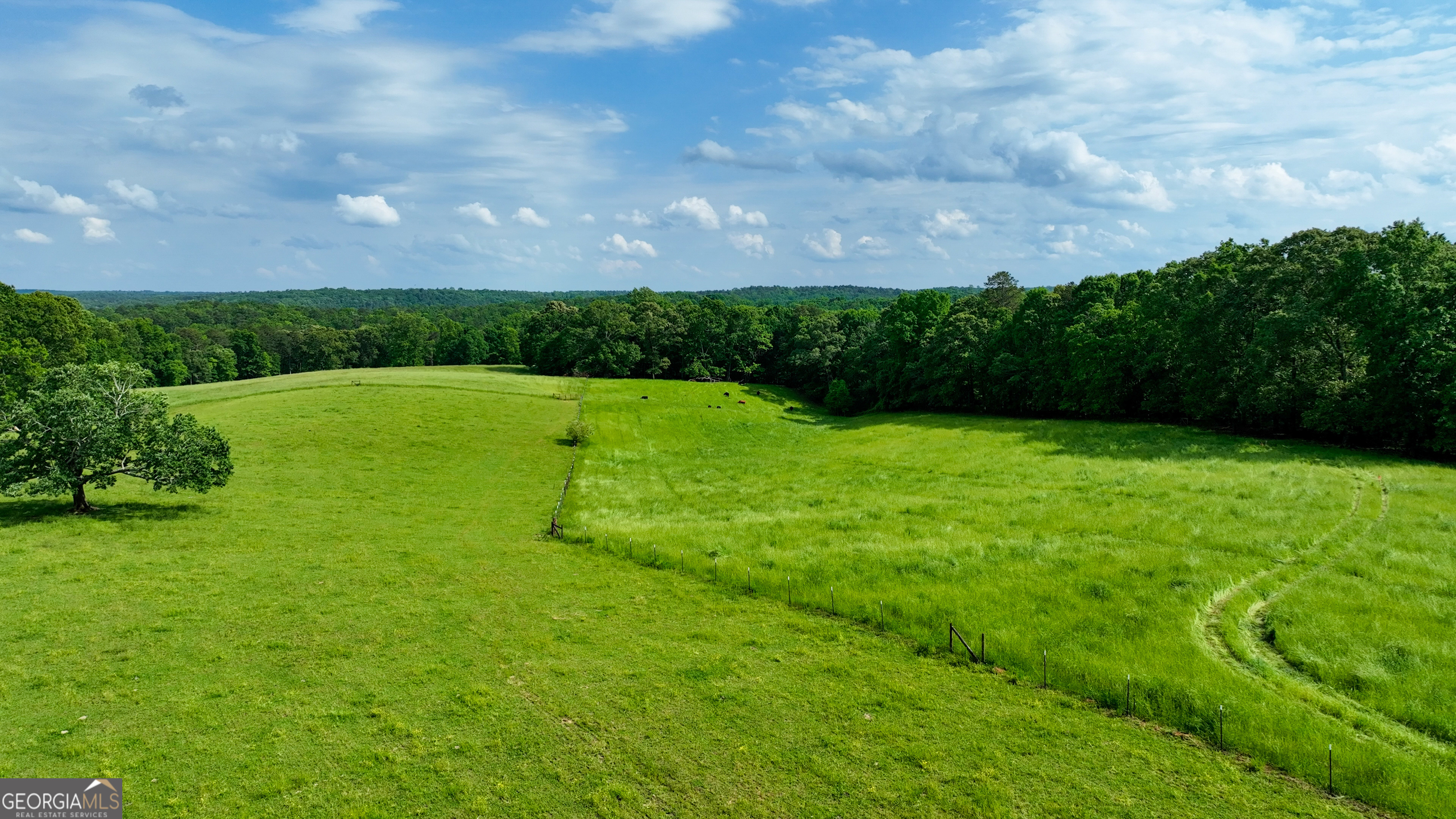 1447 Travis Smith RD