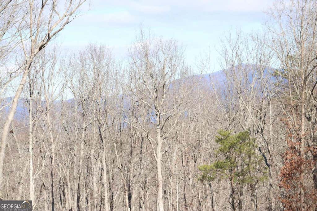 Photo of 179 Trailwood Drive, Ellijay, GA 30536 (MLS # 10822192)