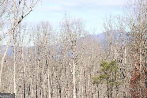 Photo of 179 Trailwood Drive, Ellijay, GA 30536 (MLS # 10822192)