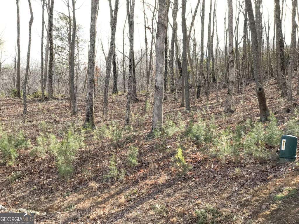 Photo of 179 Trailwood Drive, Ellijay, GA 30536 (MLS # 10822192)