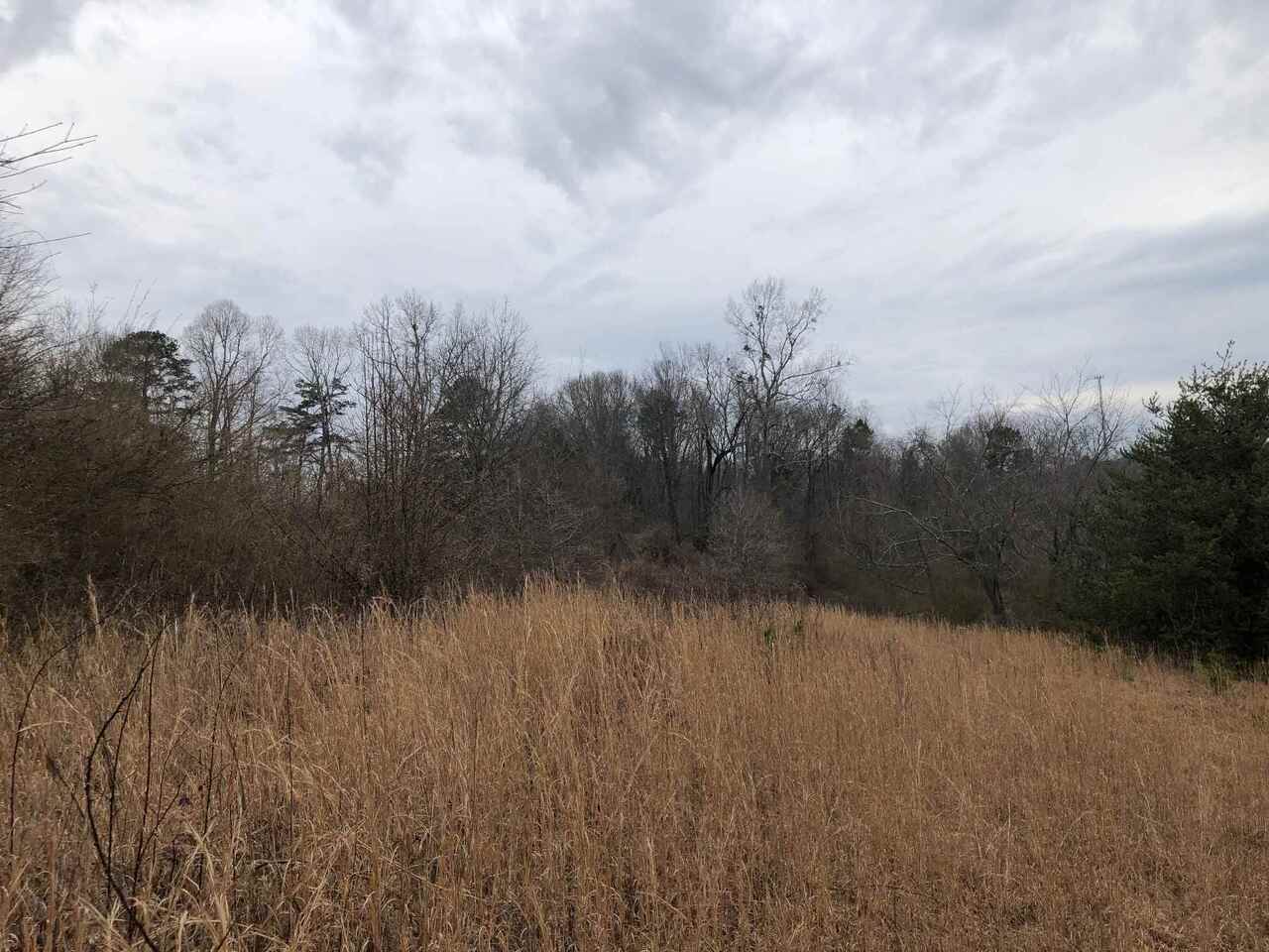 Great Laying 1 Acre lot within the small community of Sterling Meadows. Conveniently located to Hwy 365 & the Clarkesville & Cornelia communities, Sterling Meadows offers sensible covenants & restrictions(1,800sq/ft minimum for 1 story homes) & numerous great laying lots. Lot 28 is a mostly cleared lot.
