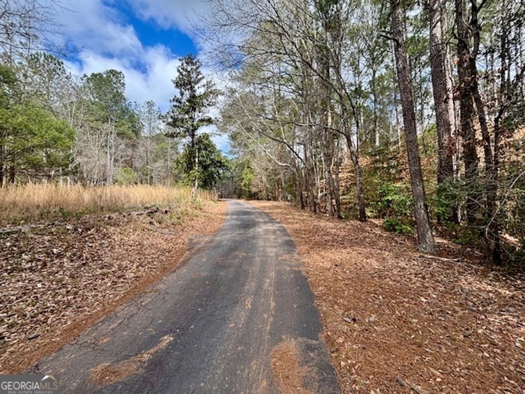 Photo of 485 Kibbee Road, McDonough, GA 30252 (MLS # 10705692)