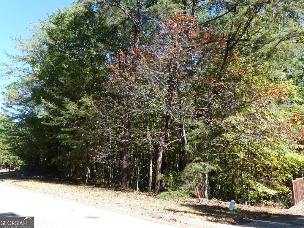 Photo of 0 ZEPPELIN STRASSE #LOT 78, Helen, GA 30545 (MLS # 10857369)