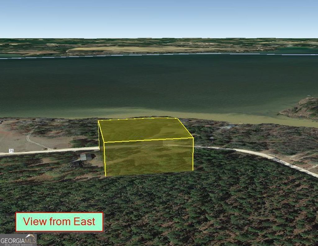 Photo of 1 Jenny Lynn Lane, Fort Gaines, GA 39851 (MLS # 10671959)