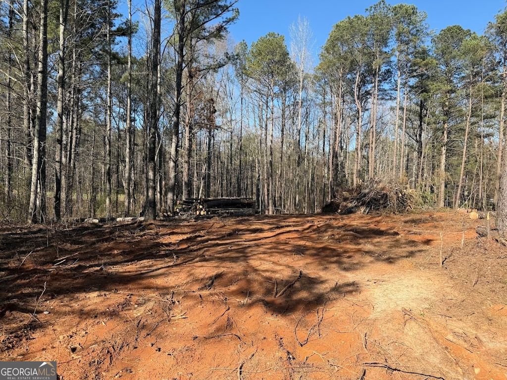 Photo of 0 Waterford Road, Bremen, GA 30110 (MLS # 10715712)
