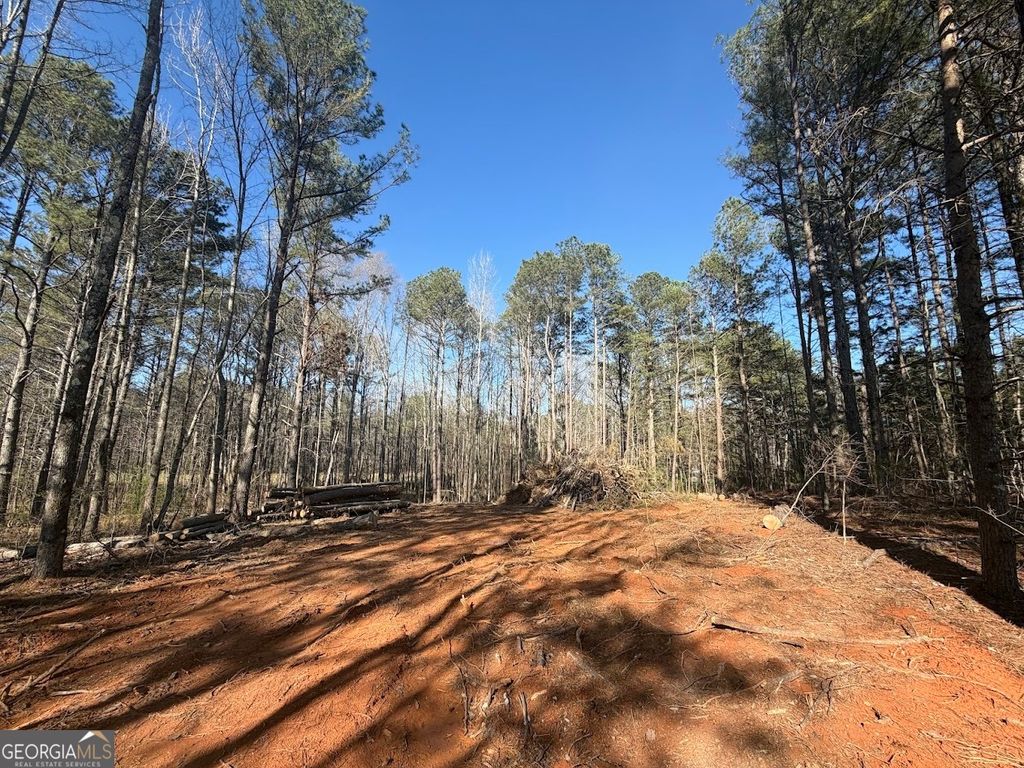 Photo of 0 Waterford Road, Bremen, GA 30110 (MLS # 10715712)