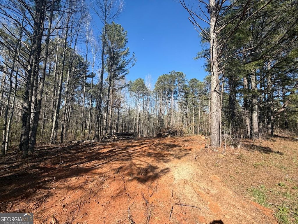 Photo of 0 Waterford Road, Bremen, GA 30110 (MLS # 10715712)