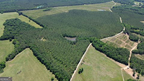 Photo of 0 Flatwoods & Colonel Dixon Roads, Elberton, GA 30635 (MLS # 10807862)