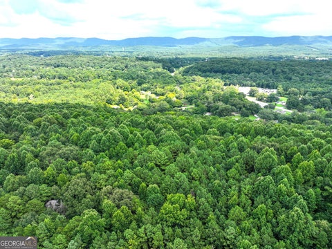 Photo of 74 +/- Acres on Raccoon Road, Summerville, GA 30747 (MLS # 10821664)