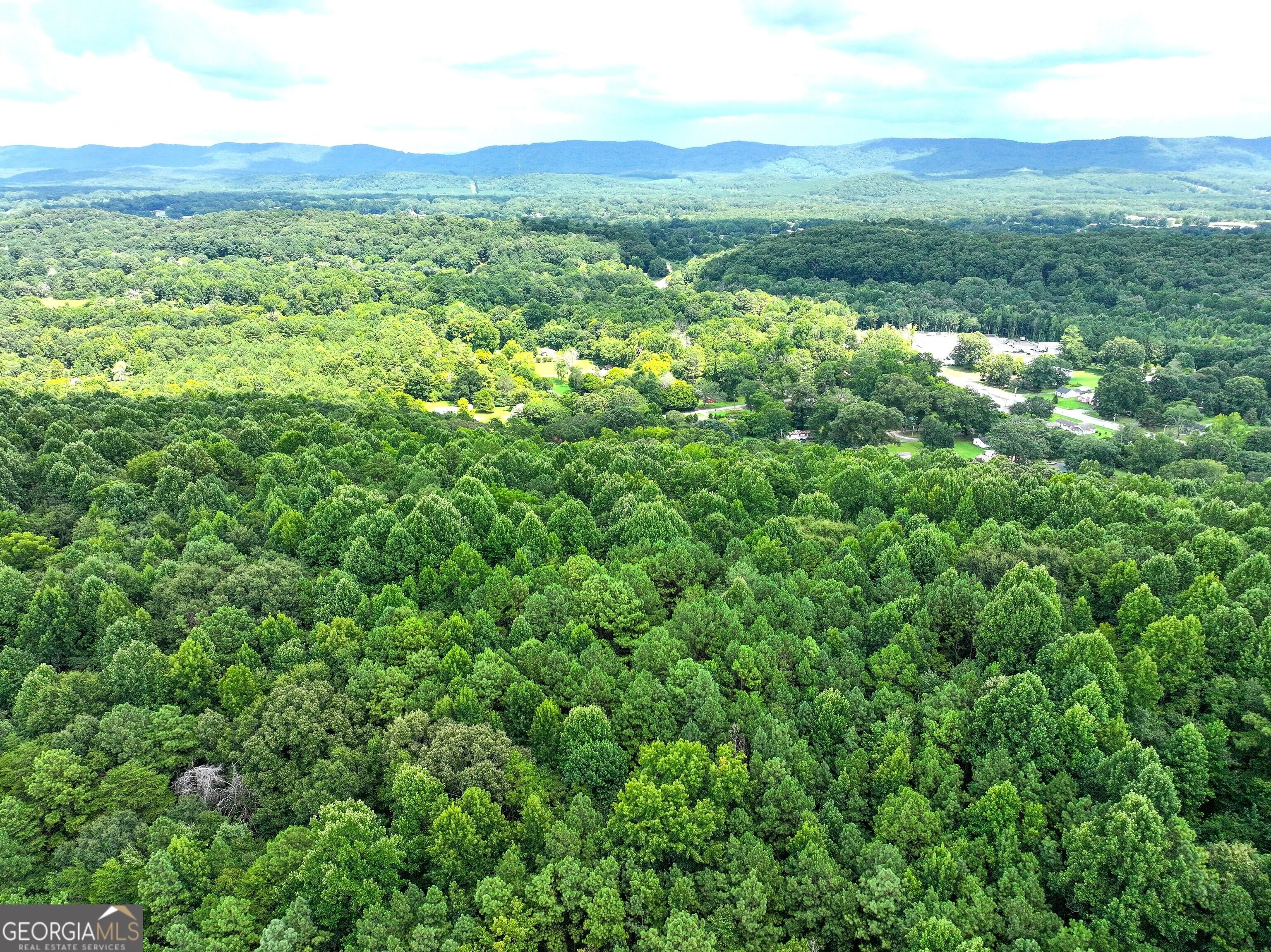 74 +/- Acres On Raccoon Road, Summerville, GA, 30747