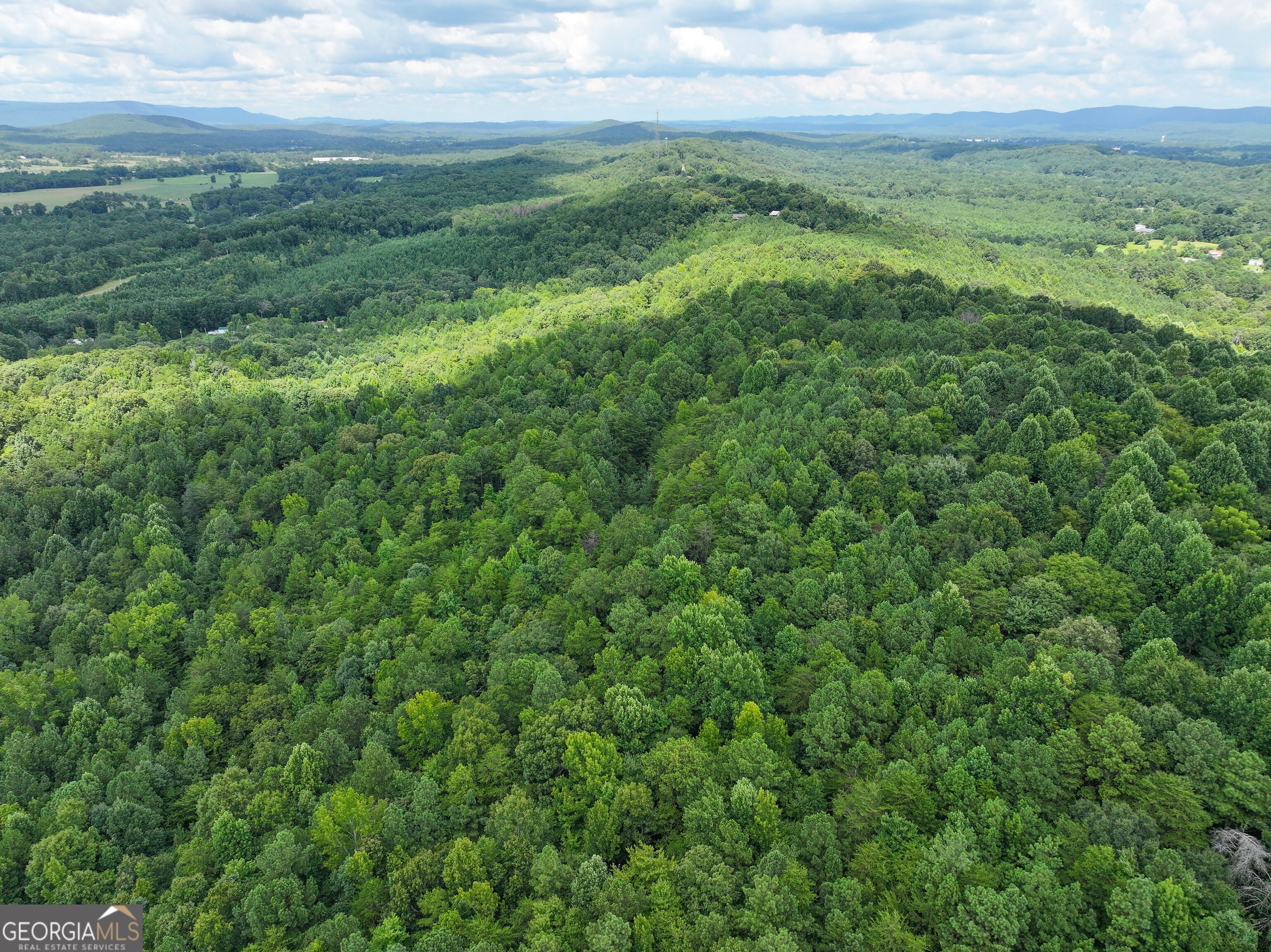 74 +/- Acres on Raccoon RD