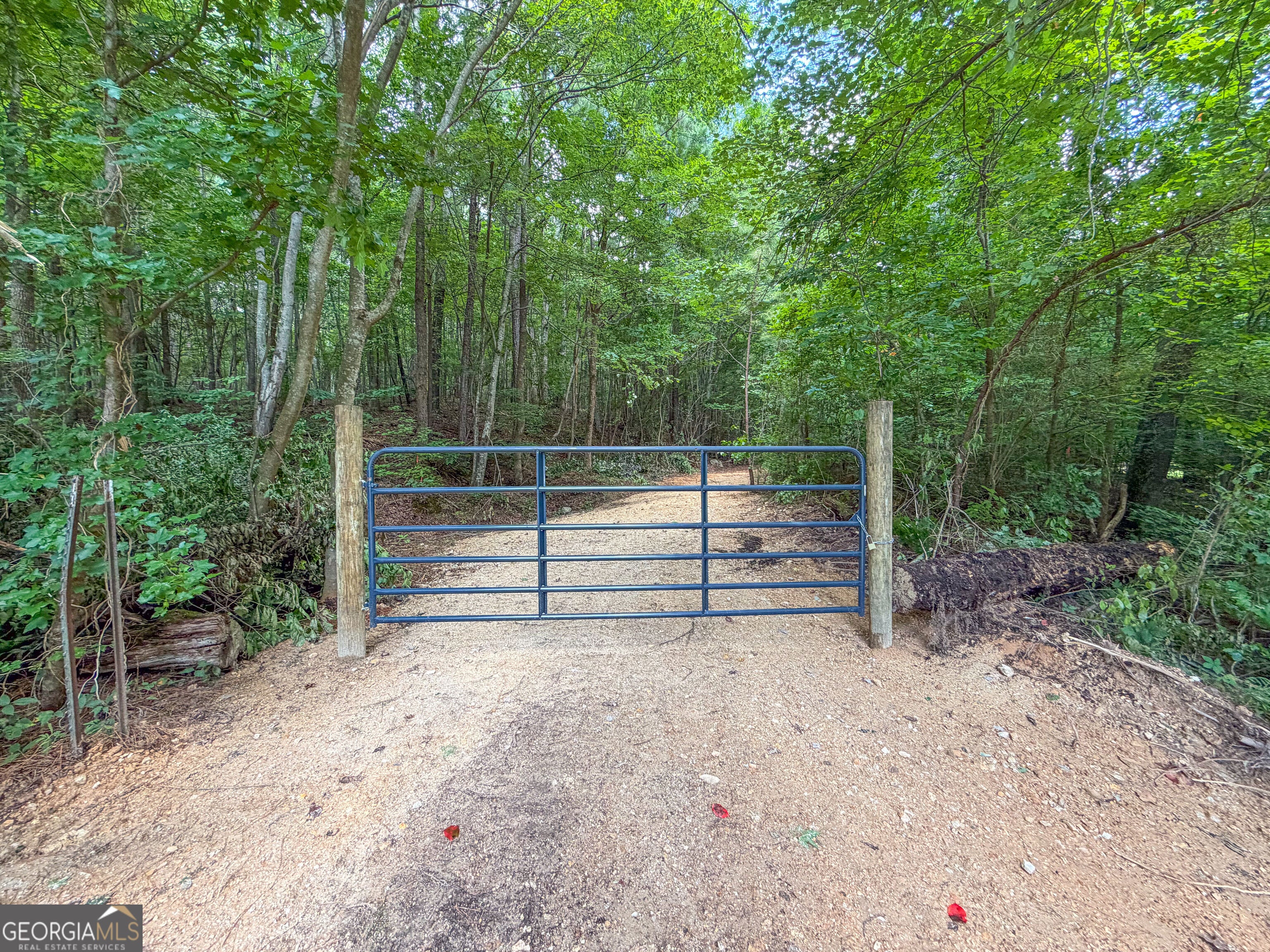74 +/- Acres on Raccoon RD
