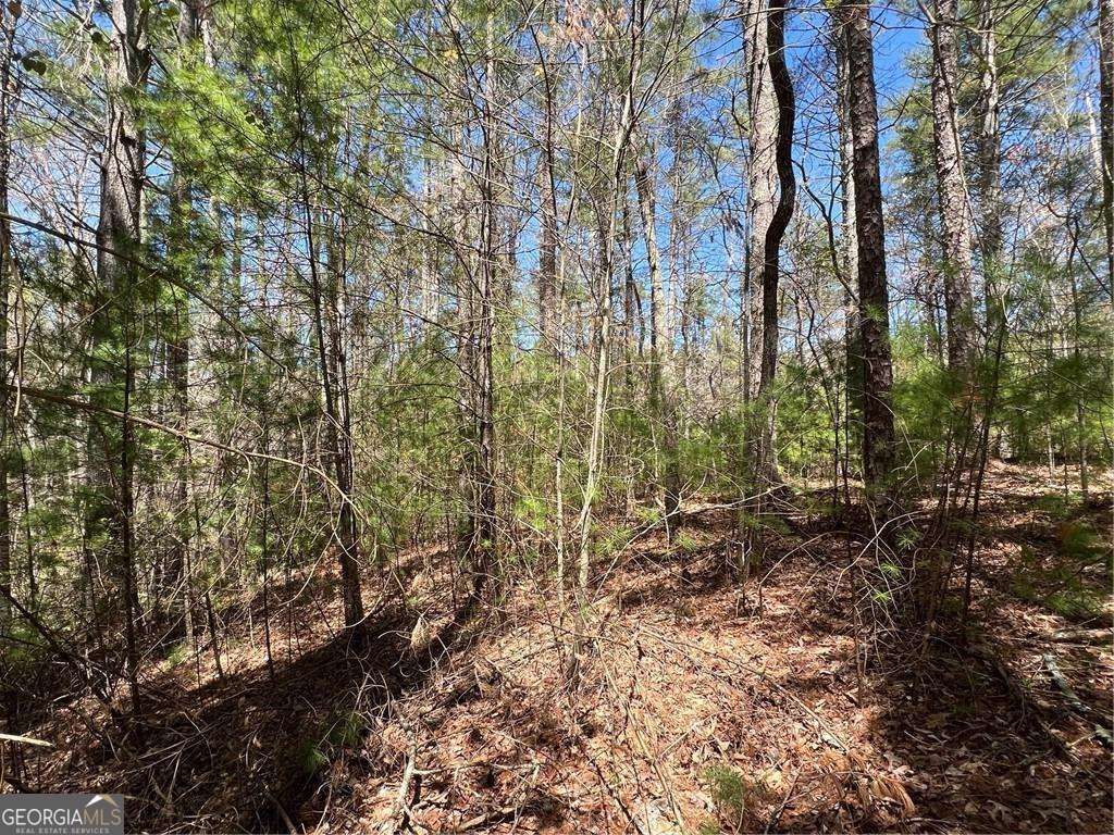 Photo of 0 Trout Line Court, Talking Rock, GA 30175 (MLS # 10673397)