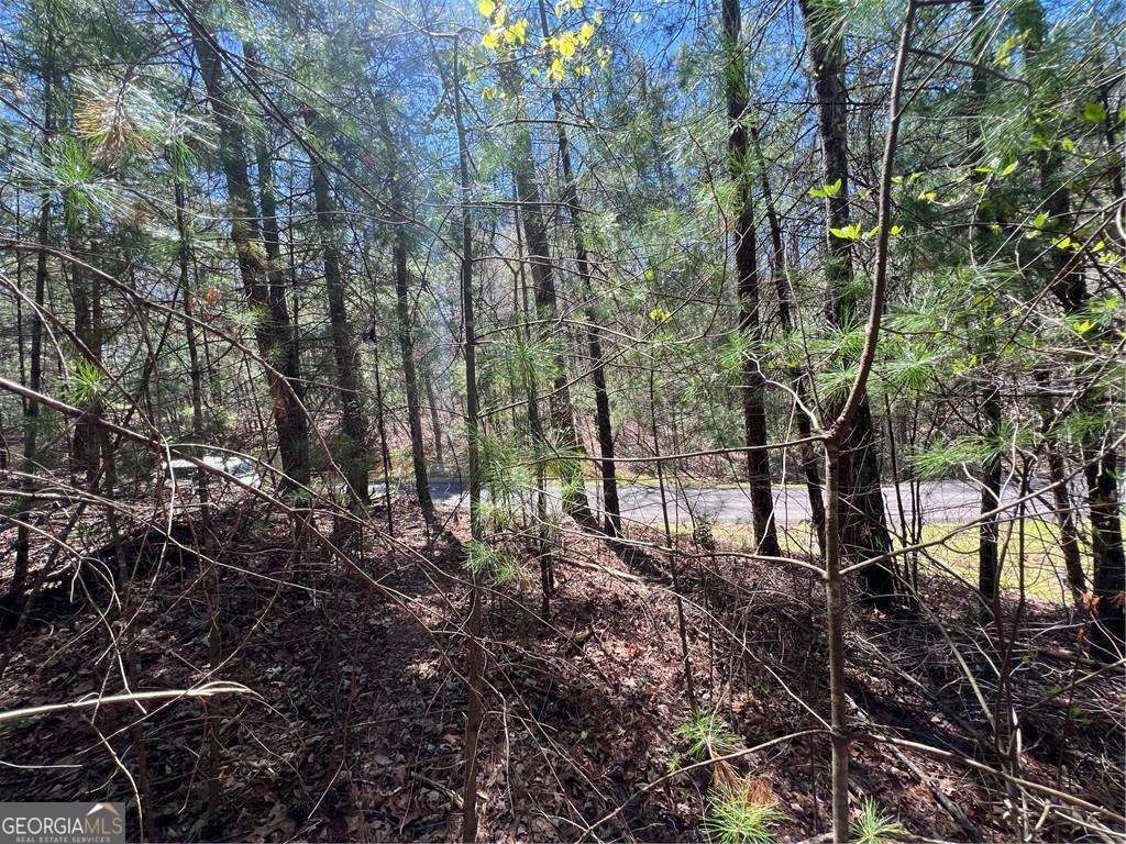 Photo of 0 Trout Line Court, Talking Rock, GA 30175 (MLS # 10673397)