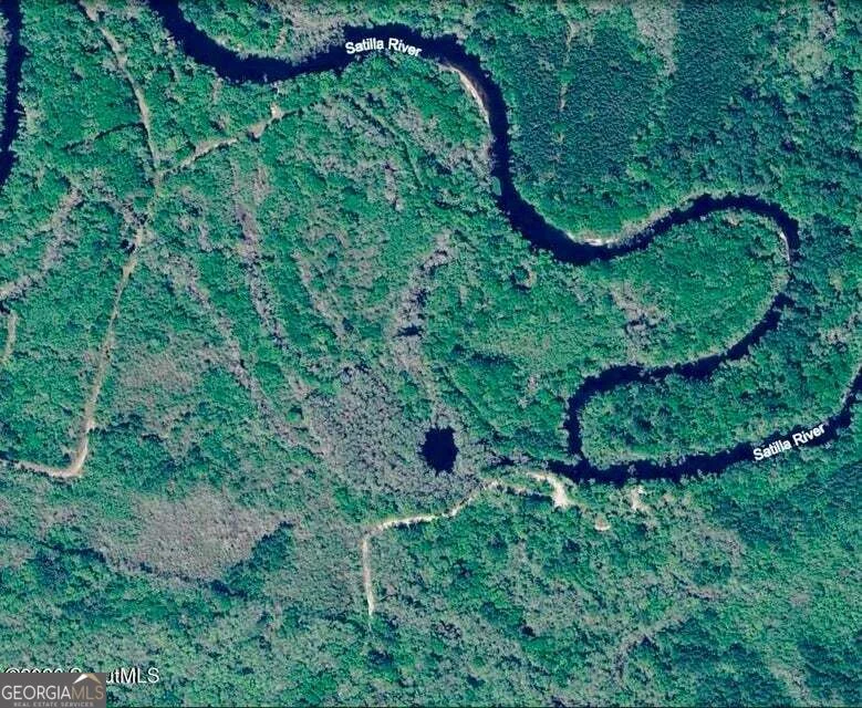 75+/- ACRES Lewis Landing St, Nahunta, GA, 31553