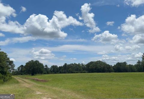 35+ ACRES Wells RD Hinesville GA 31313