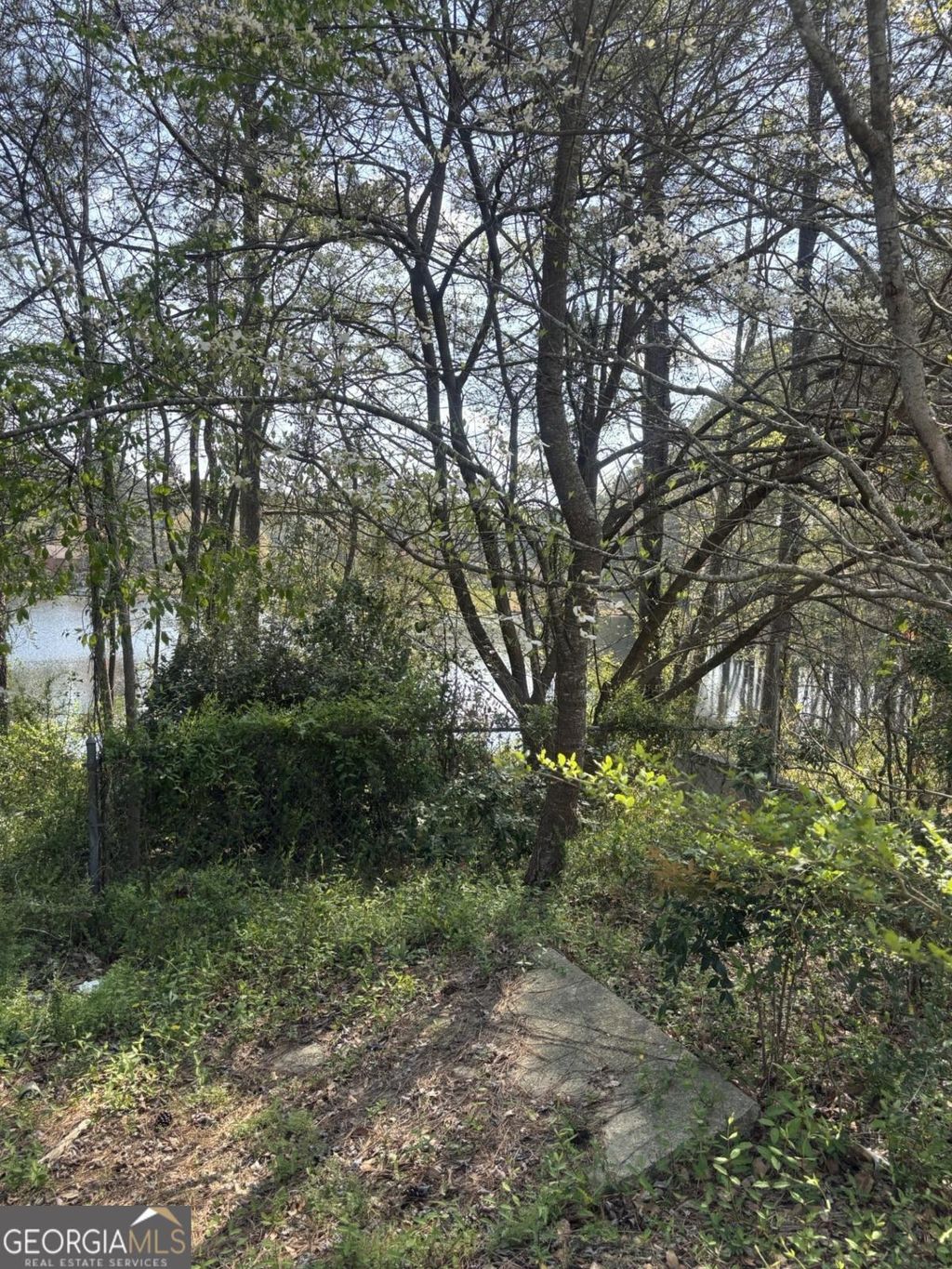 Photo of 1560 Stoneleigh Hill Road, Lithonia, GA 30058 (MLS # 10721956)