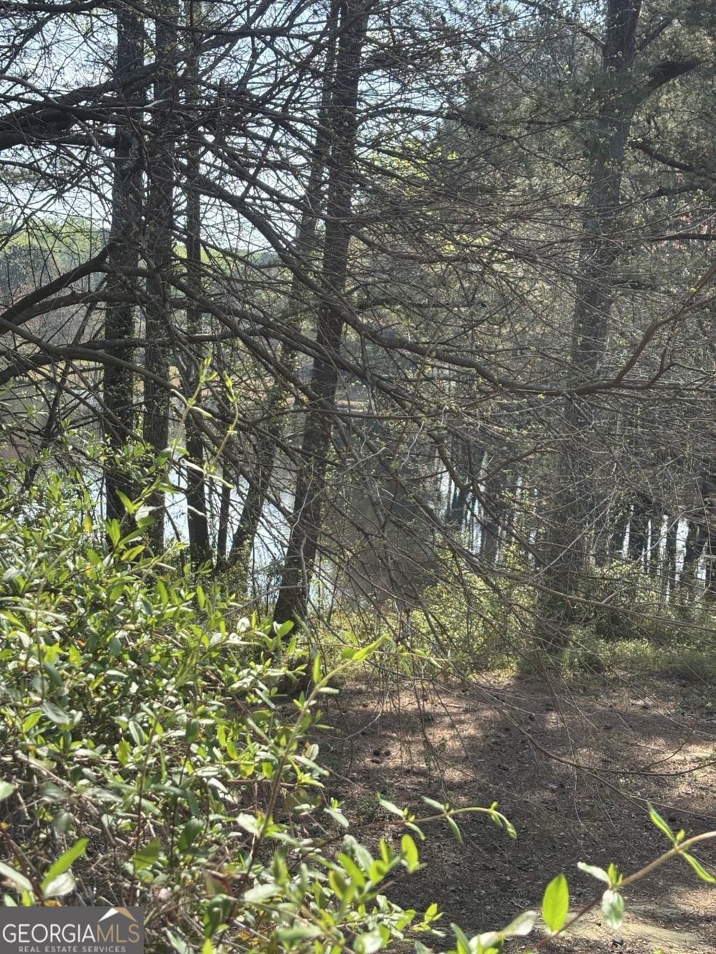 Photo of 1560 Stoneleigh Hill Road, Lithonia, GA 30058 (MLS # 10721956)