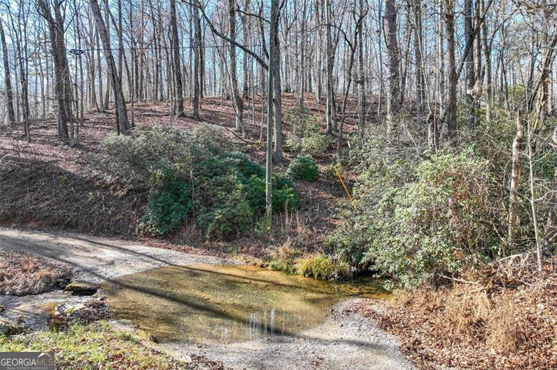 9384 SKITTS MOUNTAIN DR