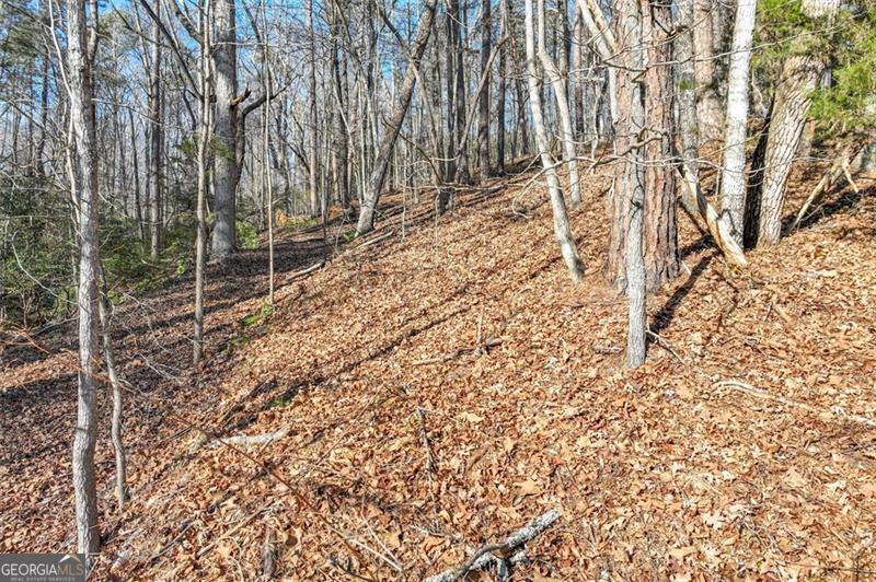 9384 SKITTS MOUNTAIN DR