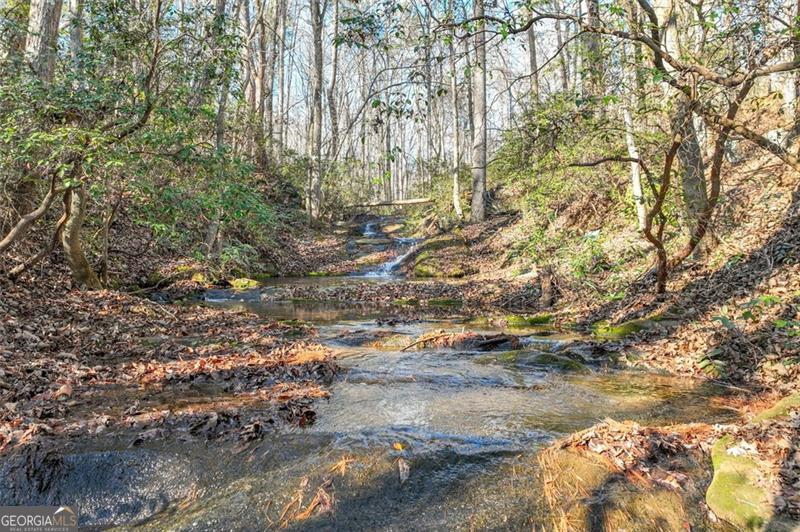 9384 SKITTS MOUNTAIN DR