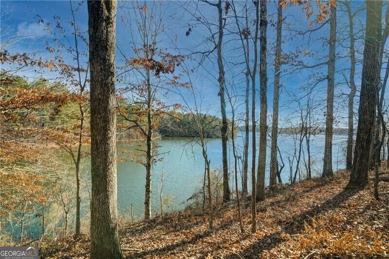 Photo of 691 Moccasin Gap Road, Jackson, GA 30233 (MLS # 10855929)