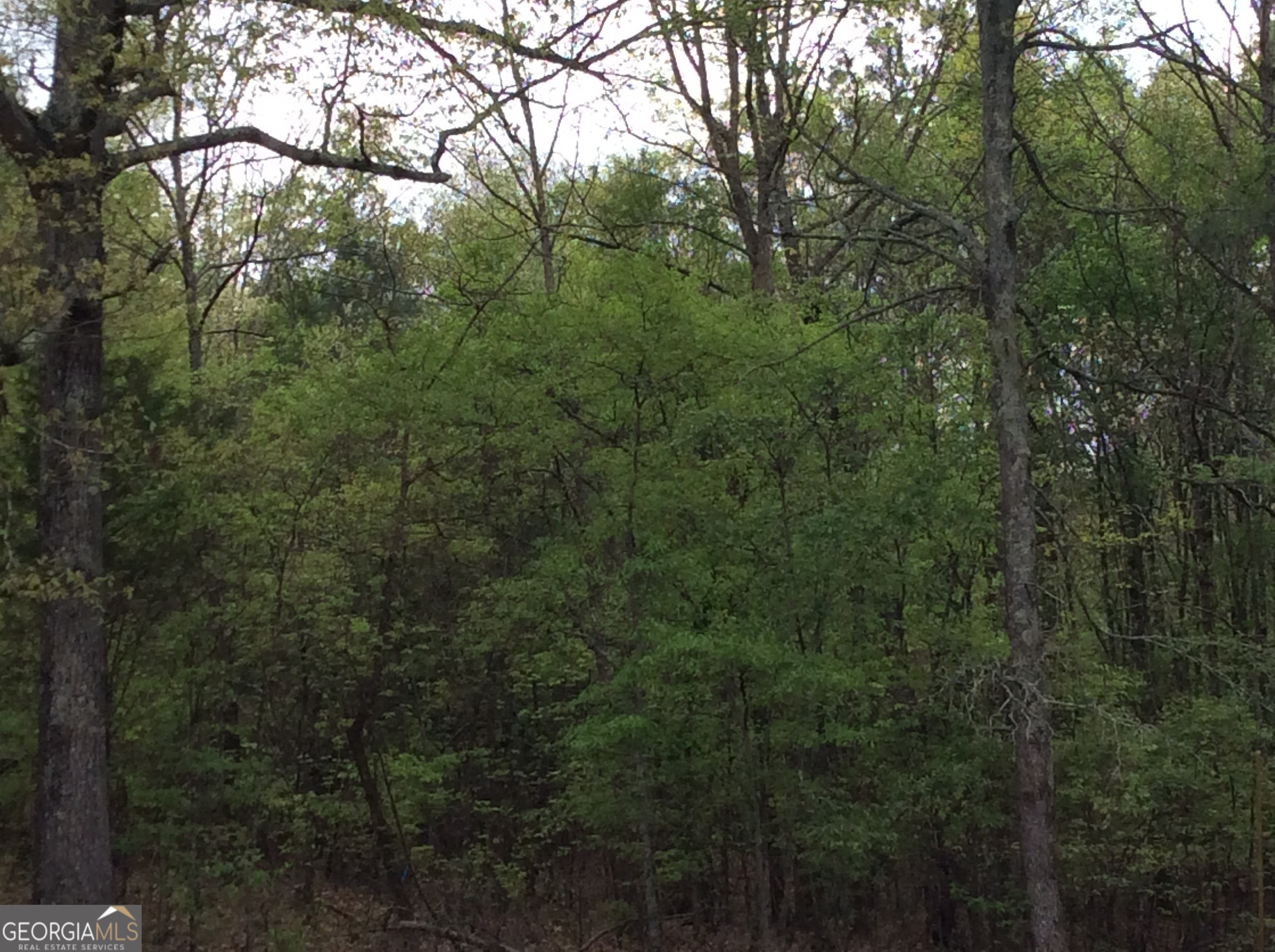 CUSTOM SPEC HOME IS CURRENTLY UNDER CONSTRUCTION ON THIS LOT. Rockbridge Road near Lake Capri. No HOA. The elongated drive leads to private oasis of serenity. The property is conveniently located to I-20 close proximity access to downtown Atlanta, near shopping, entertainment, Piedmont Medical Center and more. All homes must be a minimum of 3000+ sq feet. An opportunity to build your home choice and custom features(use sellers preferred builders).