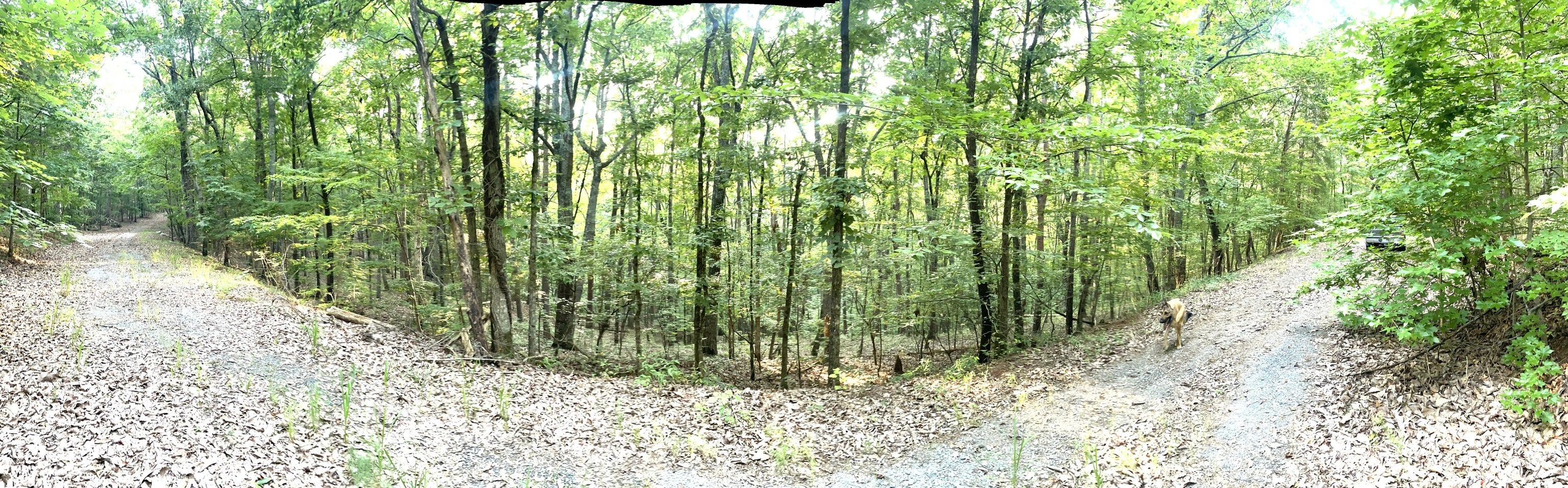Photo 1 of 33 — 715 Railey RDG, Ranger, GA 30734