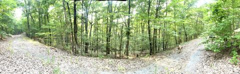 Photo of 715 Railey Ridge, Ranger, GA 30734 (MLS # 10182581)