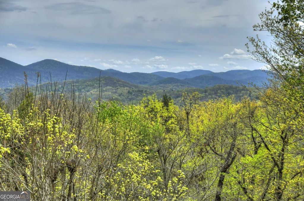 Photo of 6 Red Holly Road, Blue Ridge, GA 30513 (MLS # 10733489)