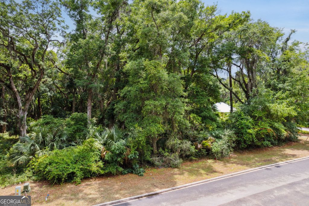 Photo of 0 Doubloon V/L 1007 Court, St. Marys, GA 31558 (MLS # 10756141)