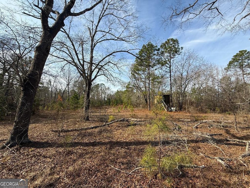 Photo of 0 Asa Lindsey Road, Kite, GA 31049 (MLS # 10670392)