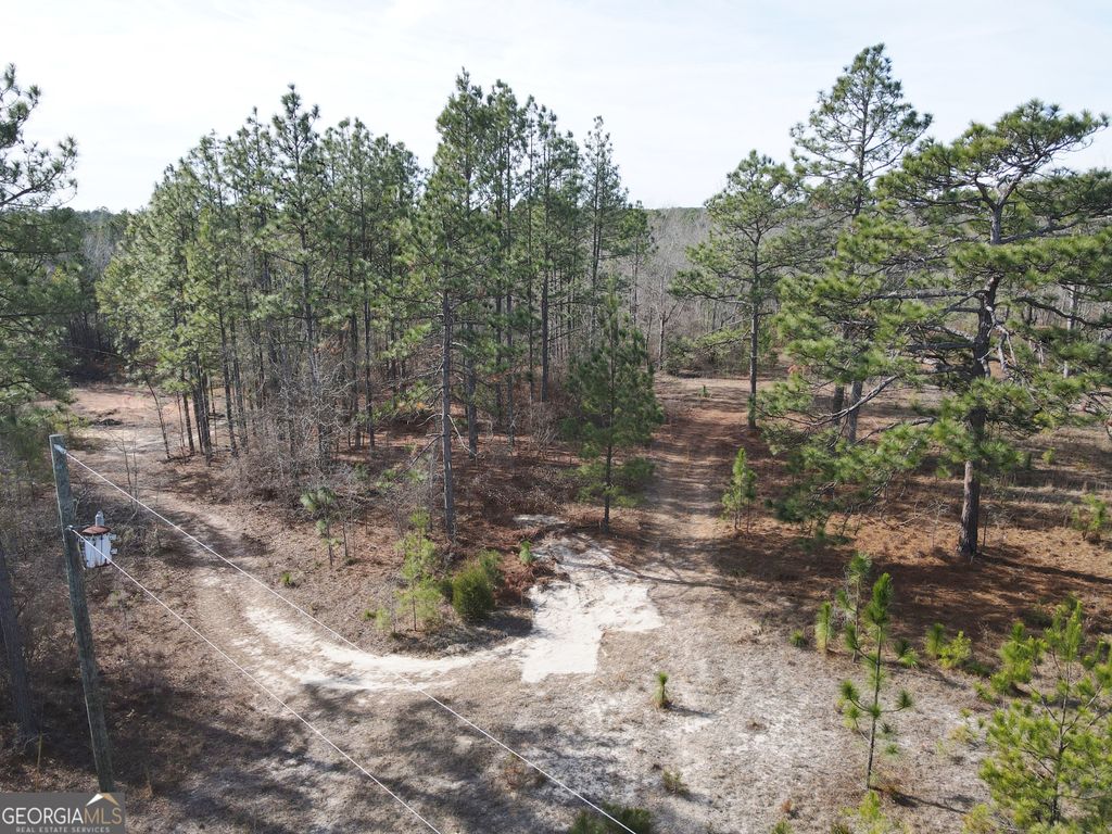 Photo of 0 Asa Lindsey Road, Kite, GA 31049 (MLS # 10670392)