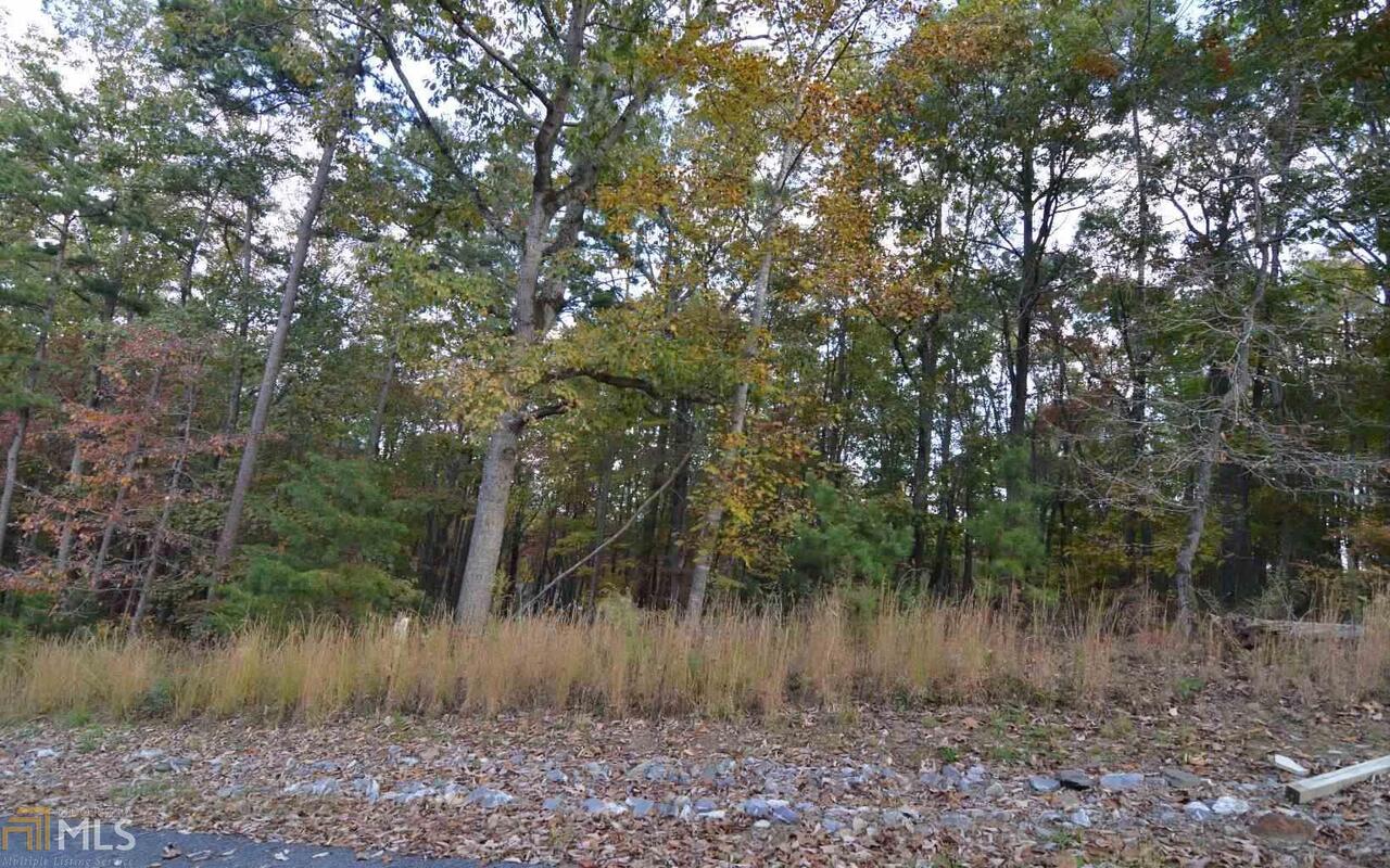 Beautiful gentle wooded home site. Public water, power, and telephone all available, paved roads and professionally landscaped entrance. Private, yet close to town and the Hwy 325 boat ramp to Lake Nottely. Come check out this fabulous subdivision. Lots 1 and 3 also available.