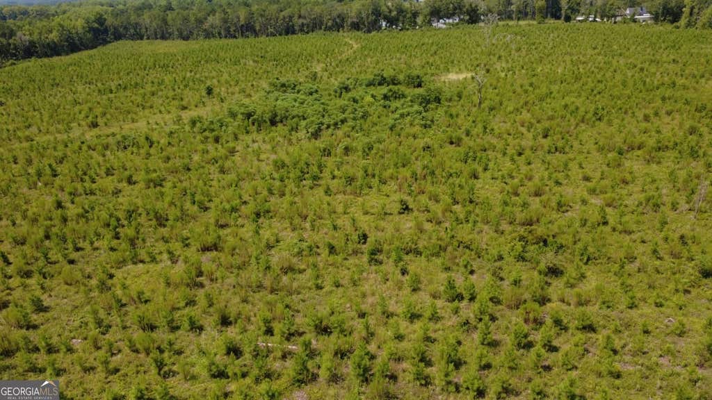 Photo of 0 SIMS BROTHERS RD, CLAXTON, GA 30417 (MLS # 10819728)