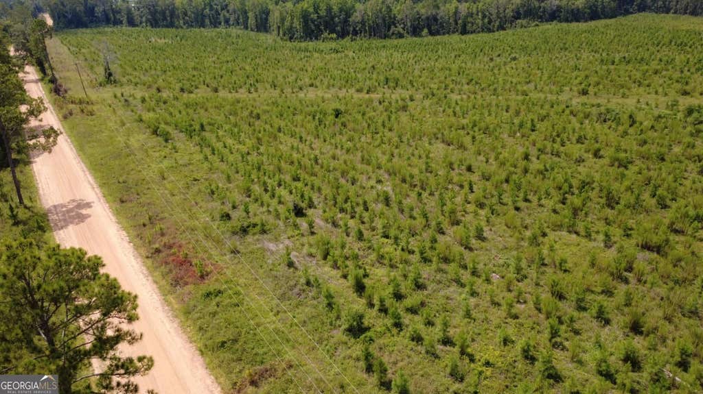 Photo of 0 SIMS BROTHERS RD, CLAXTON, GA 30417 (MLS # 10819728)