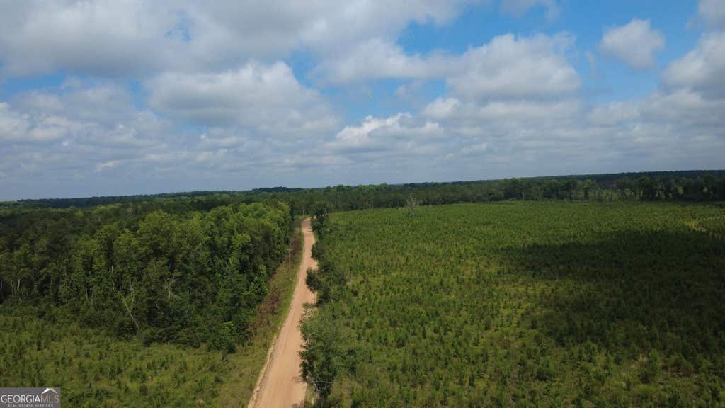 Photo of 0 SIMS BROTHERS RD, CLAXTON, GA 30417 (MLS # 10819728)