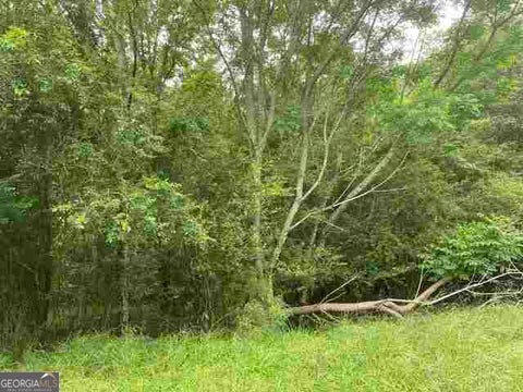 Photo for 0 River Birch LN TRACT 9