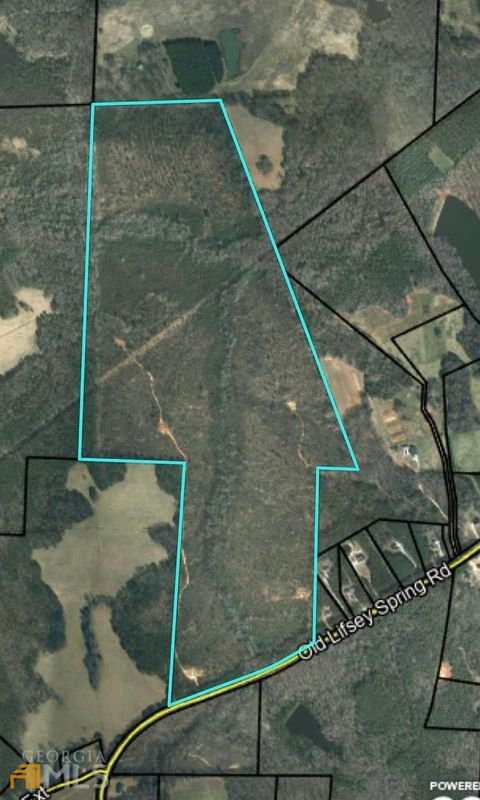 0 Old Lifsey Springs RD Molena GA 30258