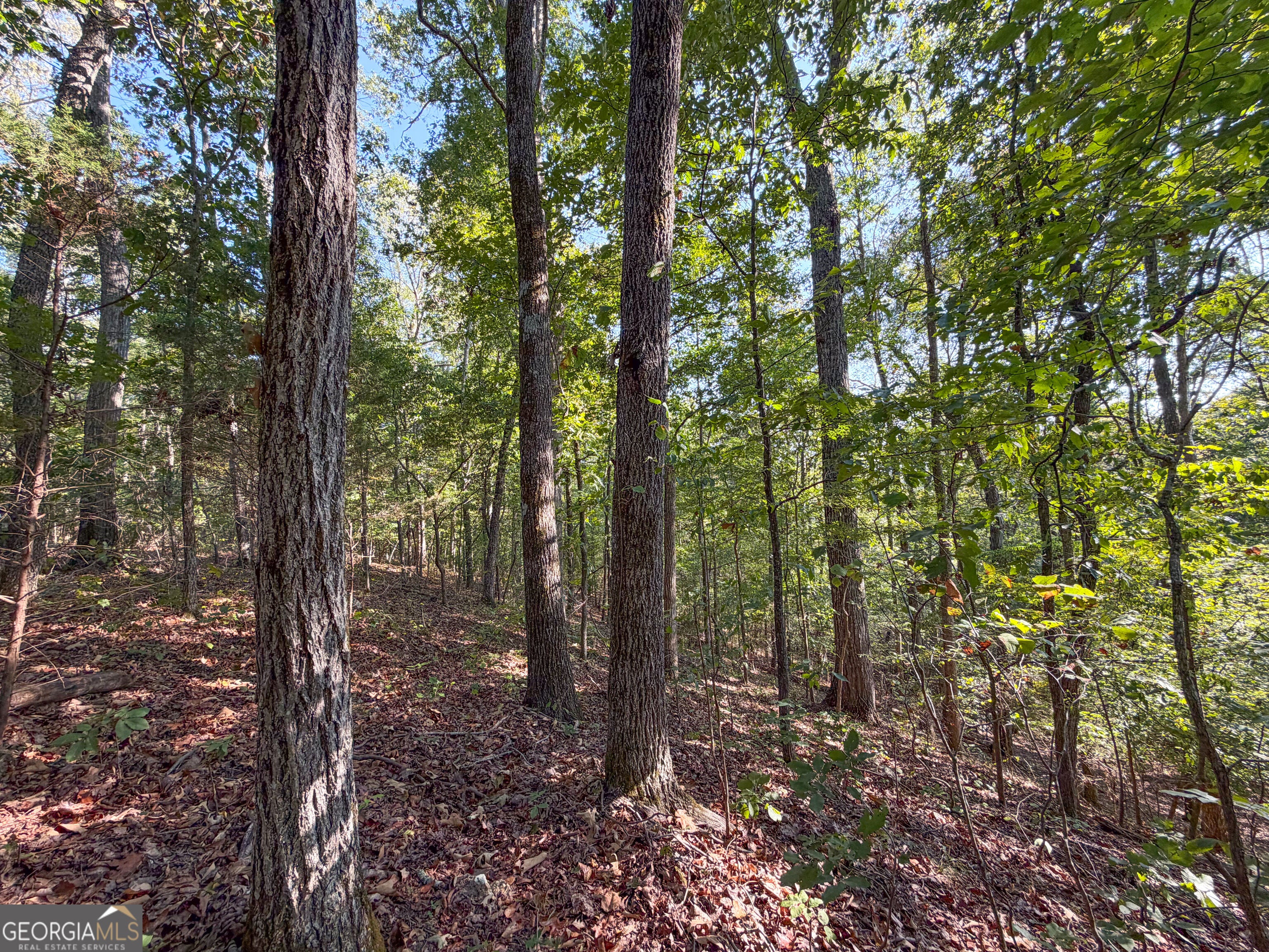 201 Mulinix Road (27 +/- Acres)