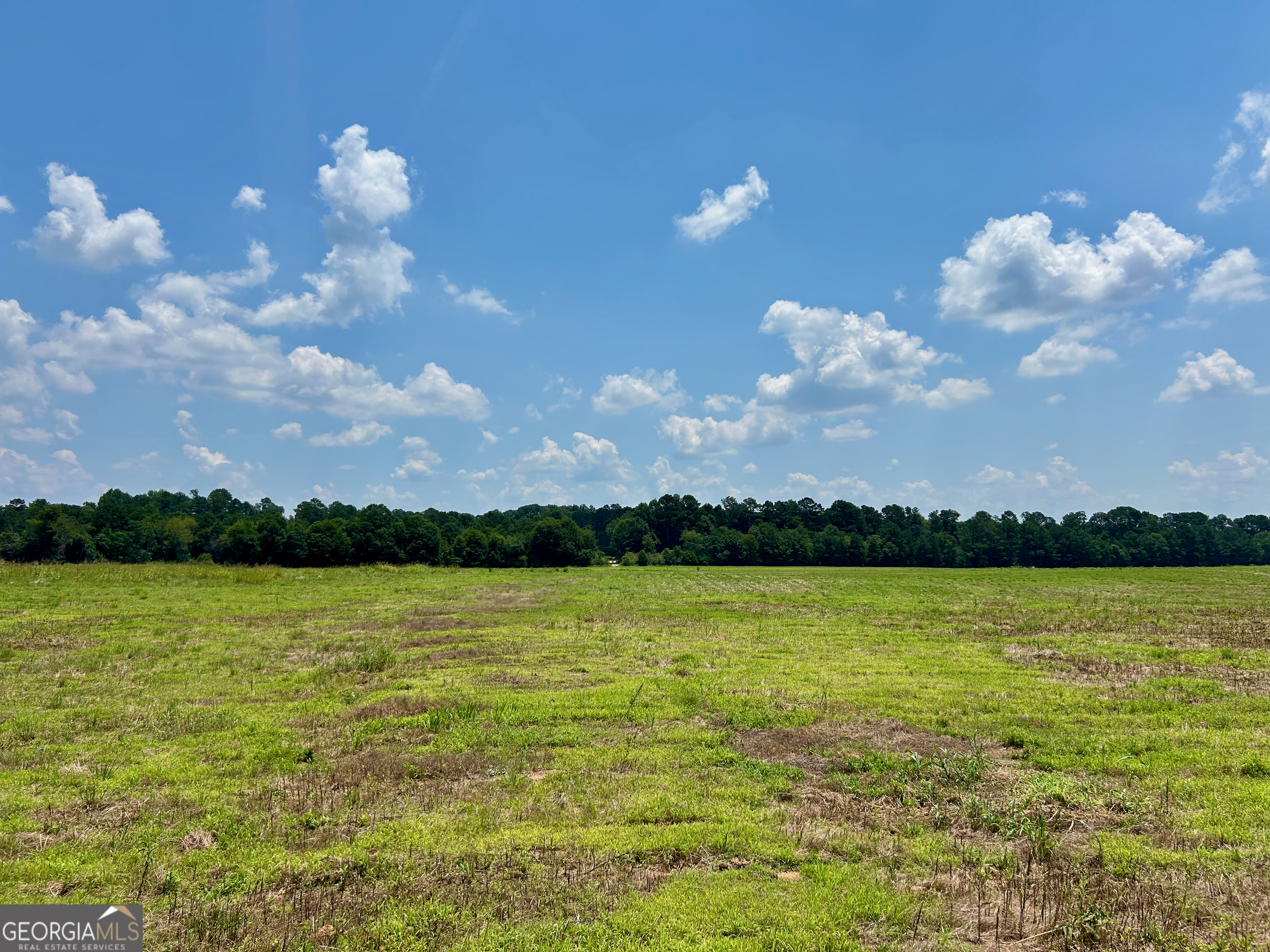 Survey is Complete! One of the best tracts of land you can find on the market. 13.18 beautiful pasture acres with a few large trees that create a beautiful landscape. This tract offers perfect homesites that overlook beautiful rolling pasture. This tract is perfect for anyone looking to create a small hobby farm or build a custom home in pasture.