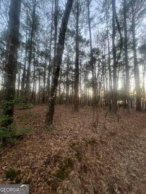 0 Pine Tree DR