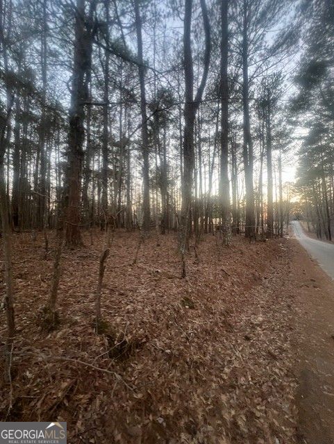 0 Pine Tree DR
