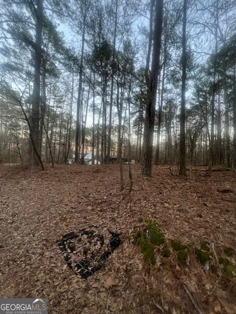 0 Pine Tree DR