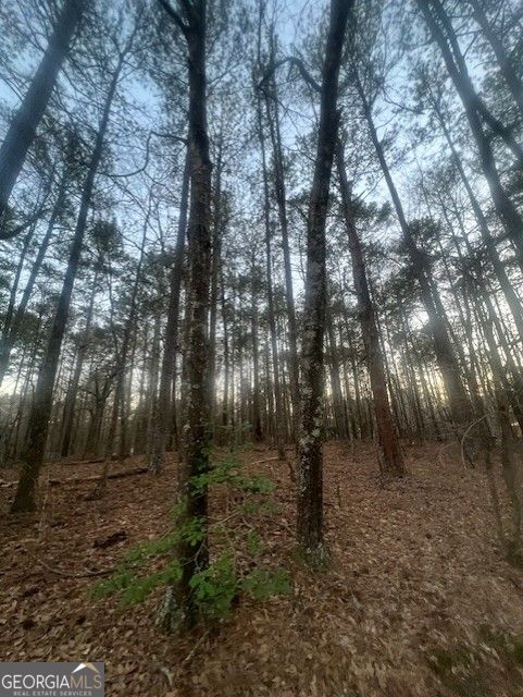 0 Pine Tree DR