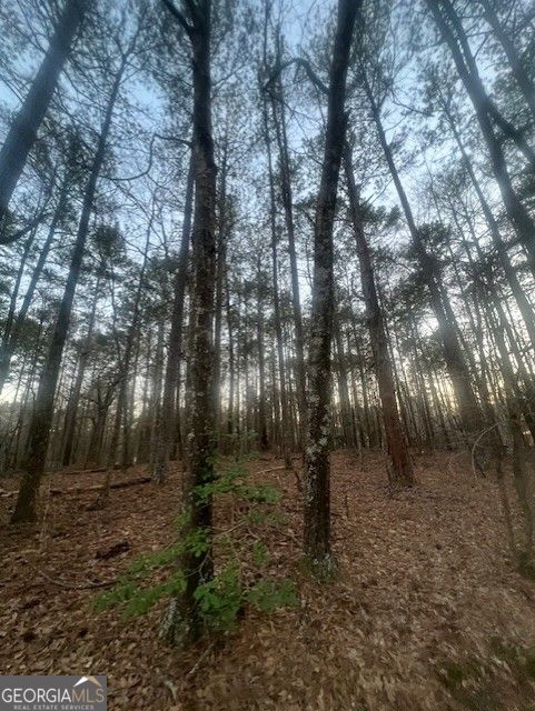 0 Pine Tree DR