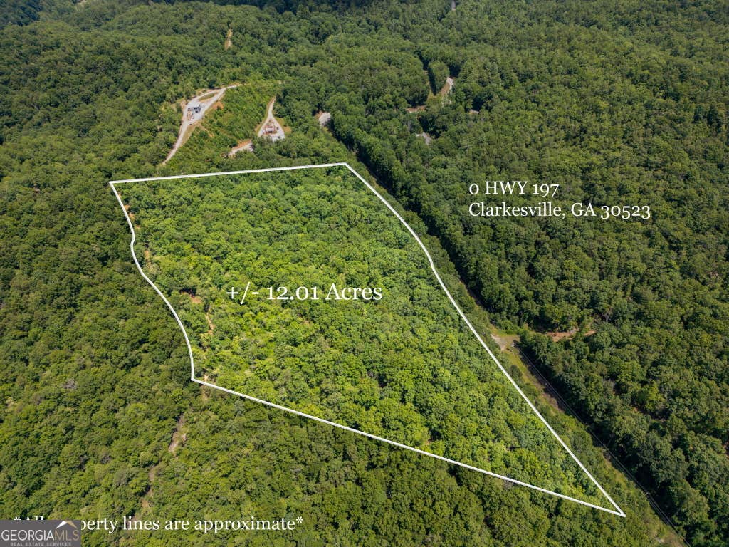 Photo of 0 Hwy 197, Clarkesville, GA 30523 (MLS # 10798943)