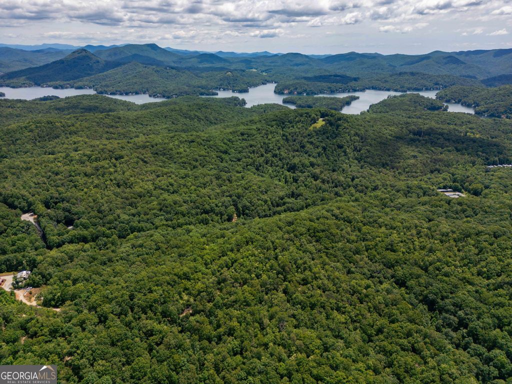 Photo of 0 Hwy 197, Clarkesville, GA 30523 (MLS # 10798943)