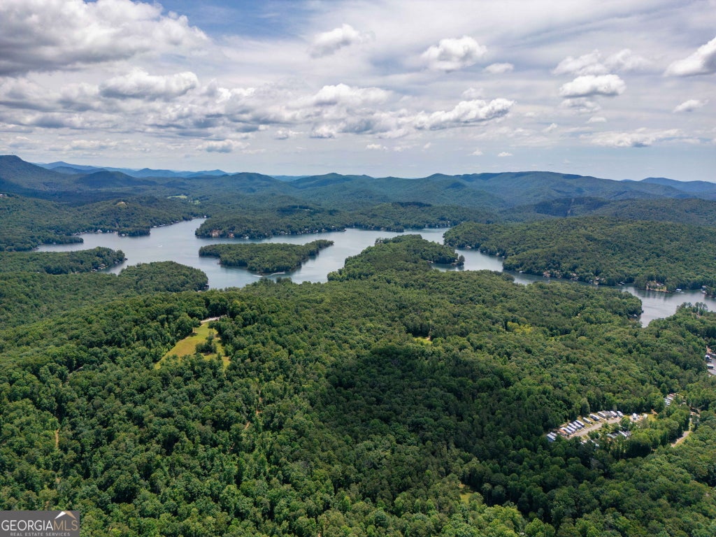 Photo of 0 Hwy 197, Clarkesville, GA 30523 (MLS # 10798943)