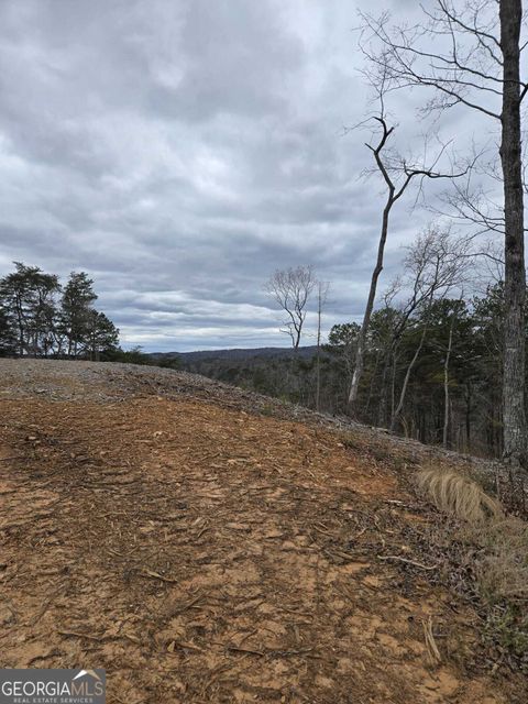 Photo of 0 Canoe Way, Talking Rock, GA 30175 (MLS # 10644103)